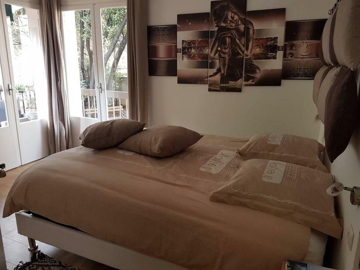 23 Rue Jean Amade Apartman Céret Kültér fotó